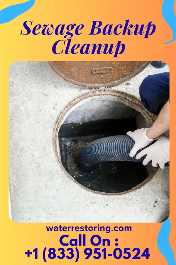 Sewage Backup Cleanup in St. Paul, NE